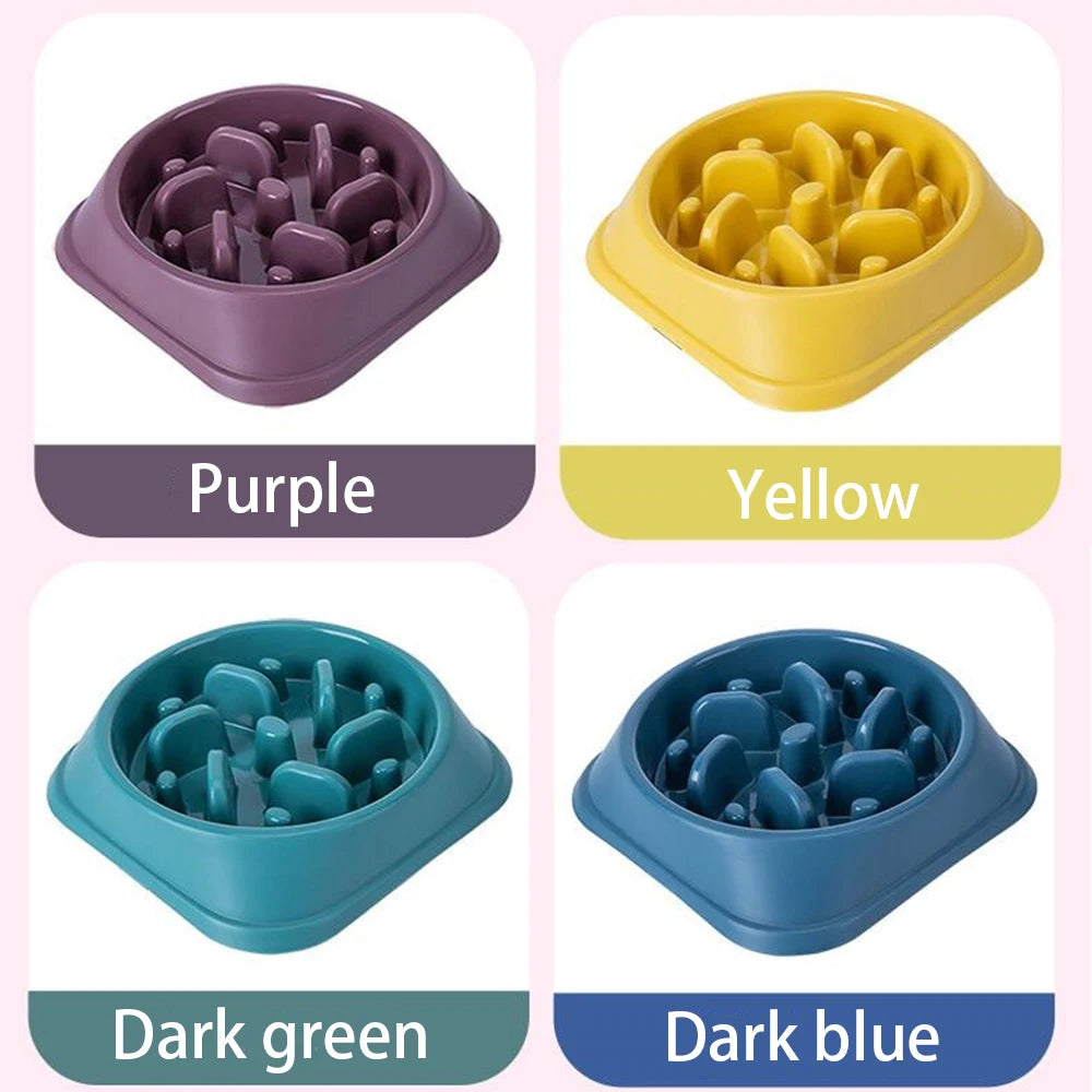Gamelle anti-glouton