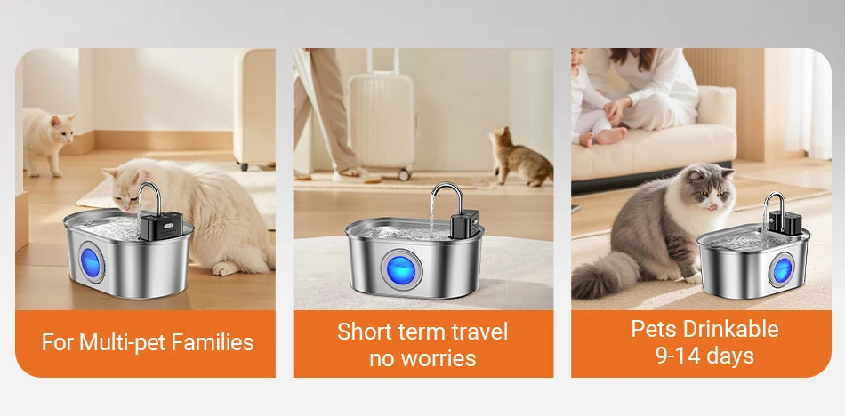 Fontaine à eau automatique en acier inoxydable pour animaux de compagnie