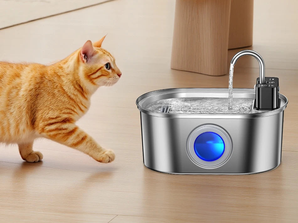 Fontaine à eau automatique en acier inoxydable pour animaux de compagnie