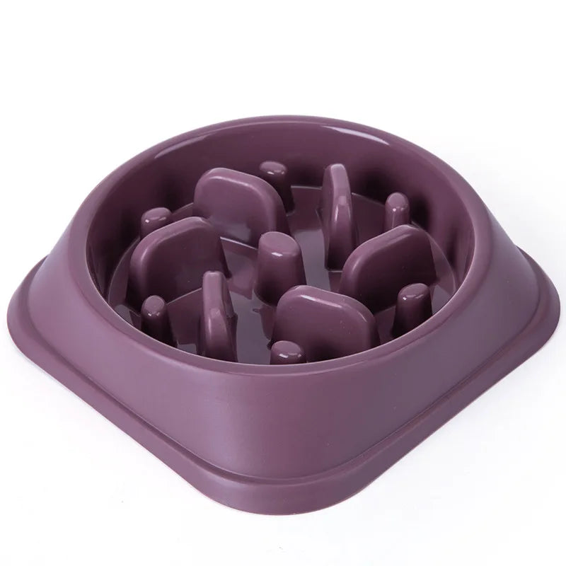Gamelle anti-glouton
